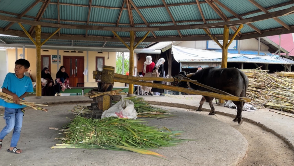 Kilang Tebu Tradisional Nagari Lawang